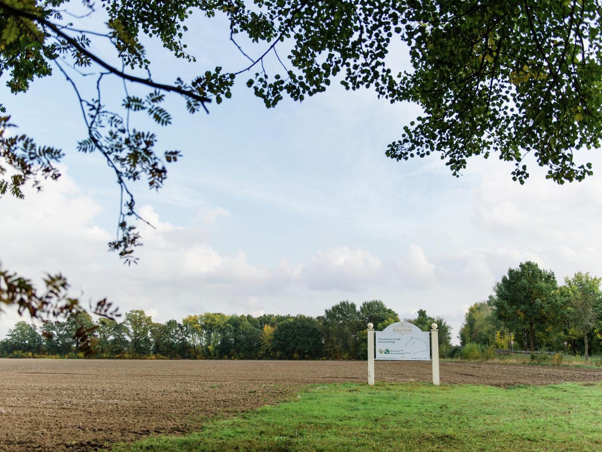 Cozy Holiday Home On A Horse Farm In The L Neburg Heath Eschede Εξωτερικό φωτογραφία