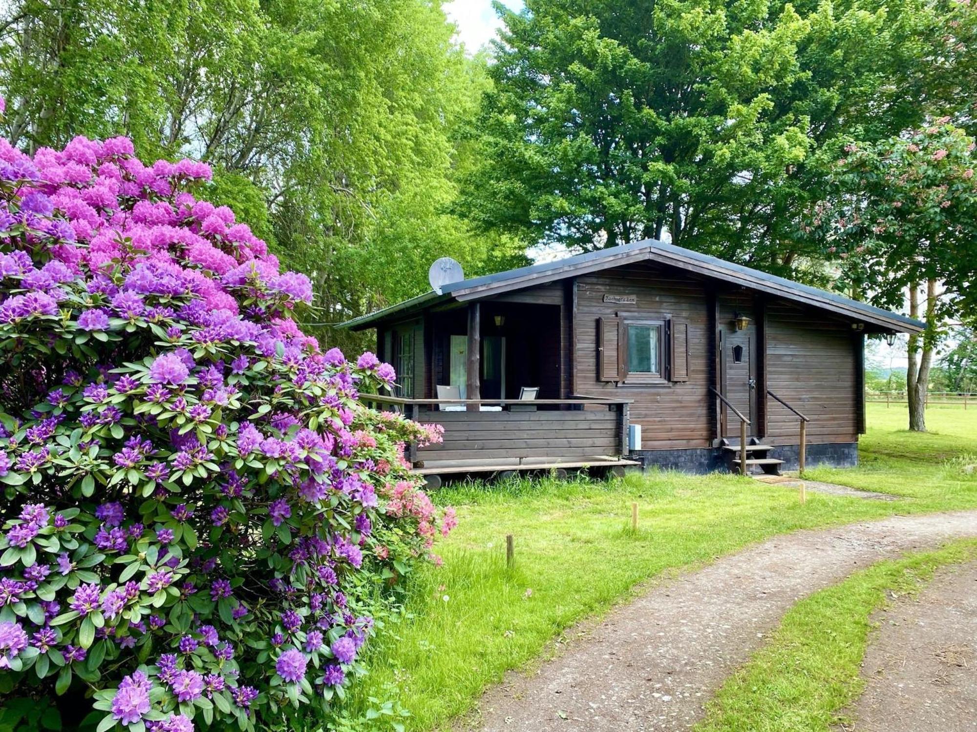 Cozy Holiday Home On A Horse Farm In The L Neburg Heath Eschede Εξωτερικό φωτογραφία