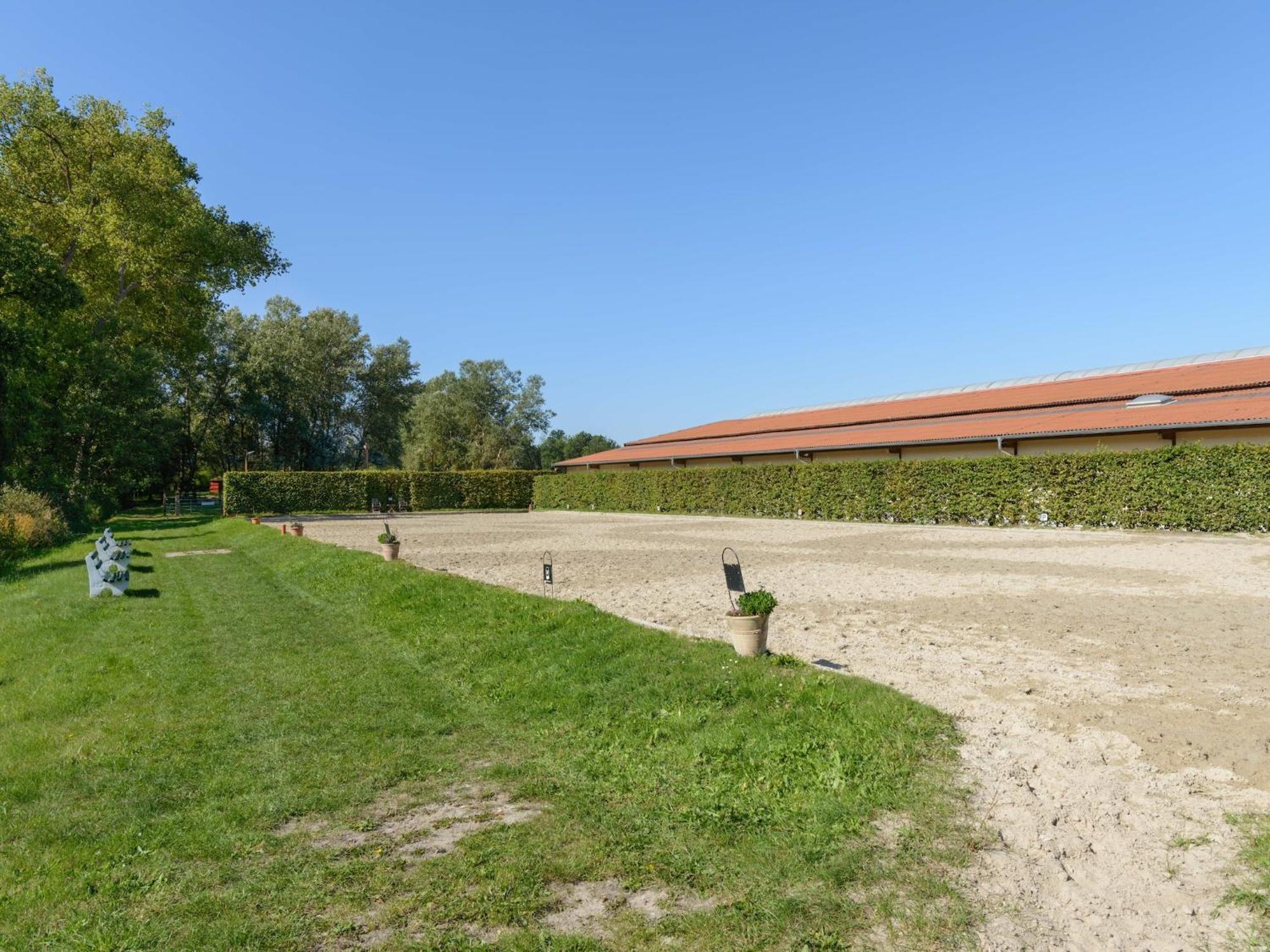 Cozy Holiday Home On A Horse Farm In The L Neburg Heath Eschede Εξωτερικό φωτογραφία