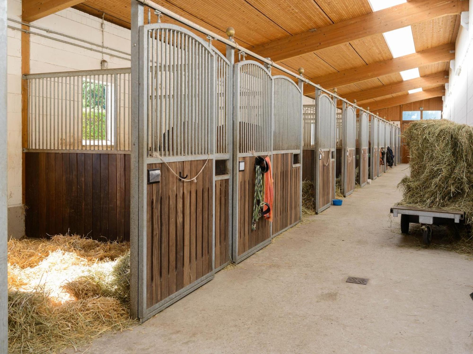 Cozy Holiday Home On A Horse Farm In The L Neburg Heath Eschede Εξωτερικό φωτογραφία