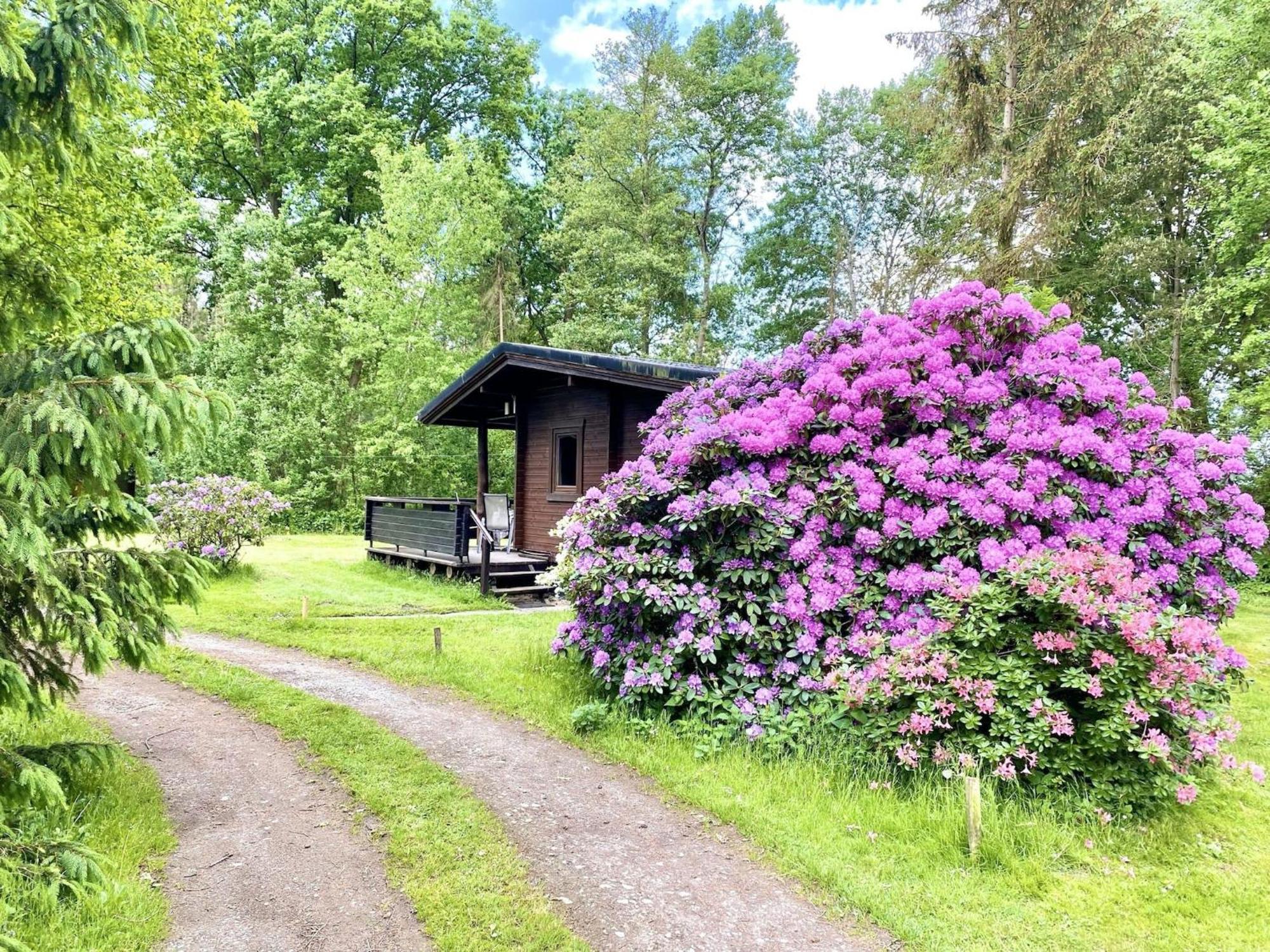 Cozy Holiday Home On A Horse Farm In The L Neburg Heath Eschede Εξωτερικό φωτογραφία