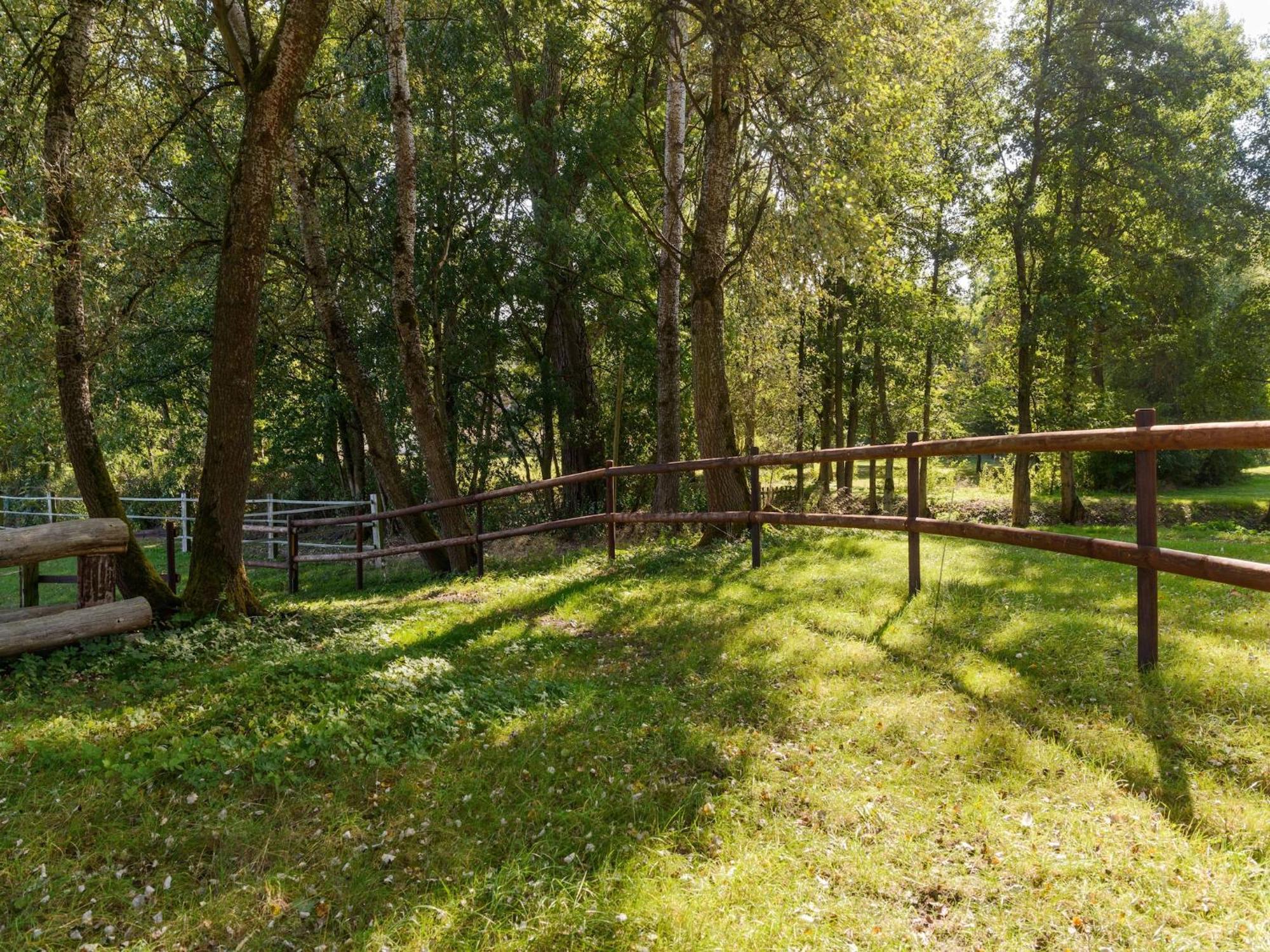 Cozy Holiday Home On A Horse Farm In The L Neburg Heath Eschede Εξωτερικό φωτογραφία