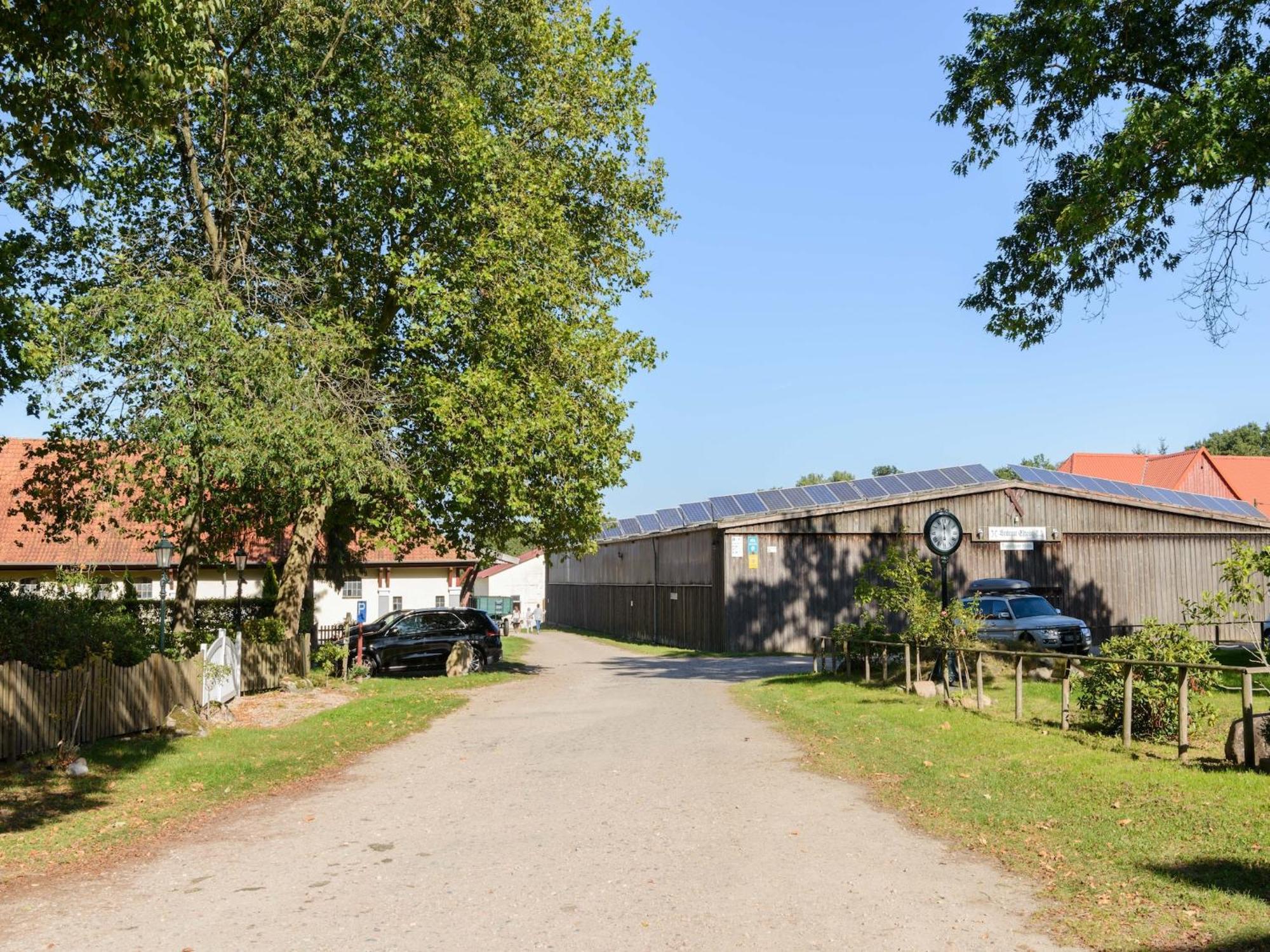Cozy Holiday Home On A Horse Farm In The L Neburg Heath Eschede Εξωτερικό φωτογραφία