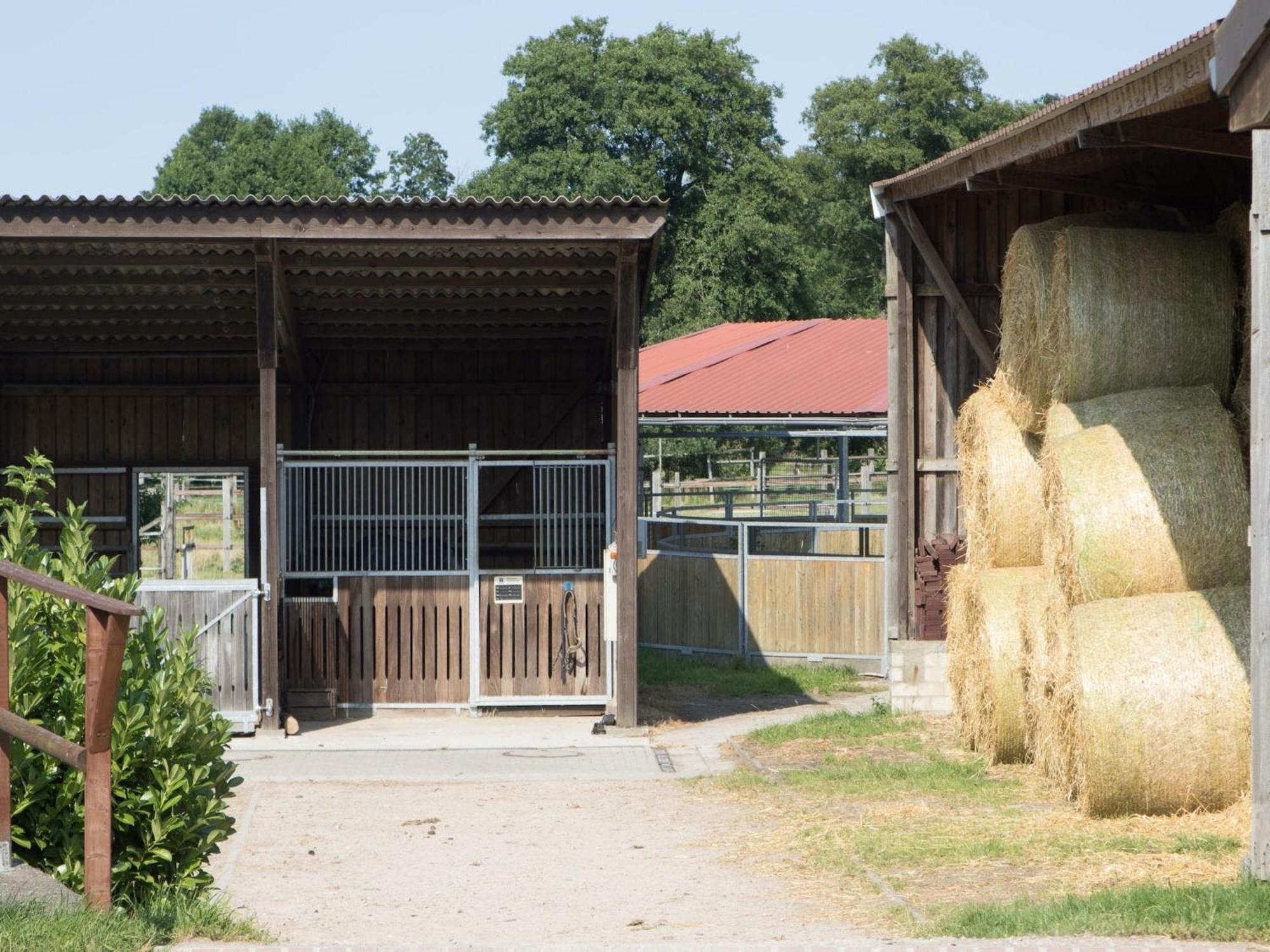 Cozy Holiday Home On A Horse Farm In The L Neburg Heath Eschede Εξωτερικό φωτογραφία